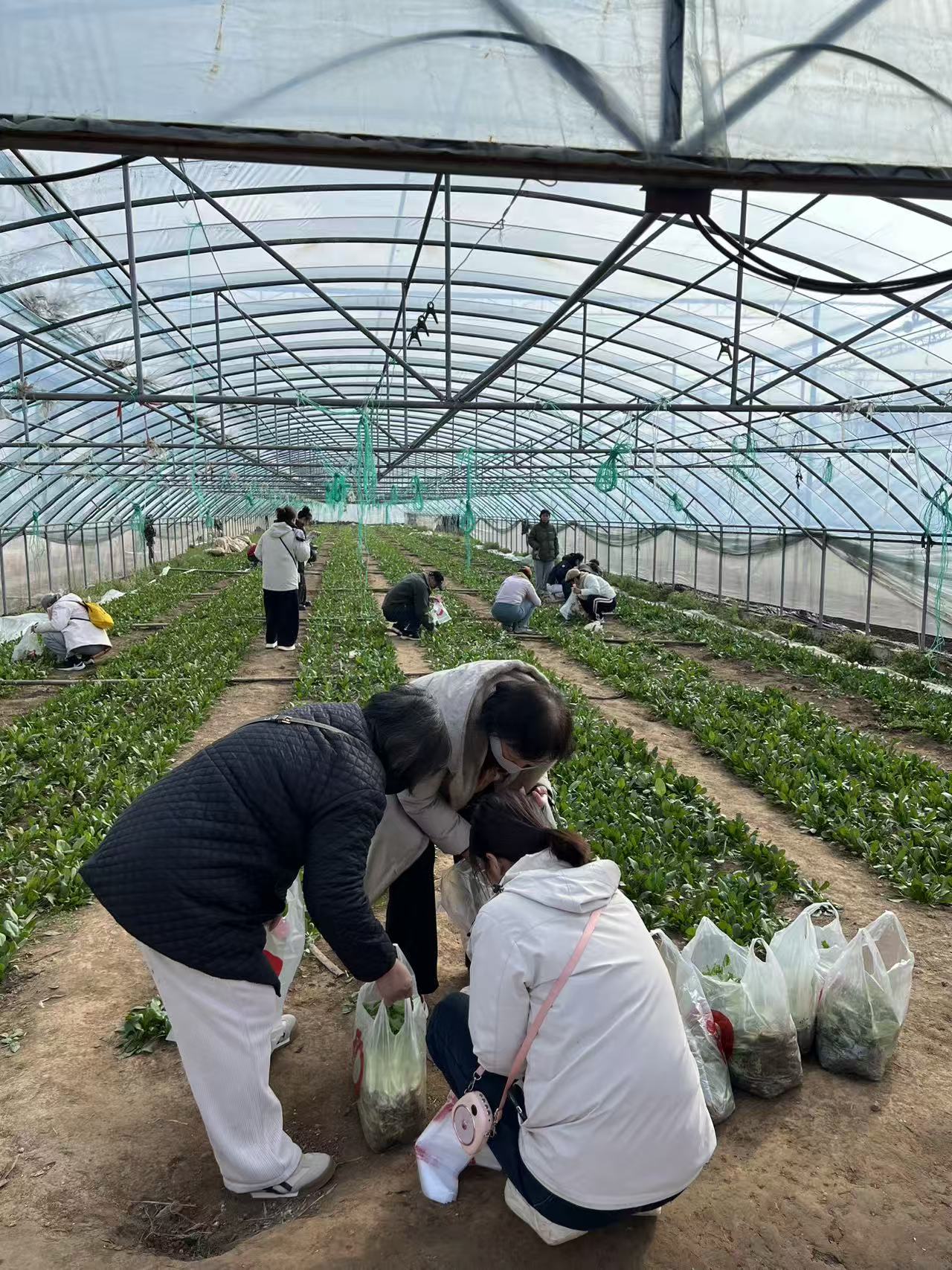 9ca20fc935bcaf2fa6eca8271f38da8a.jpg 9ca20fc935bcaf2fa6eca8271f38da8a.jpg